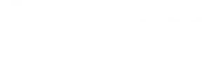 logo bloom